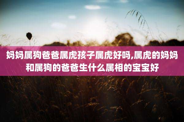 妈妈属狗爸爸属虎孩子属虎好吗,属虎的妈妈和属狗的爸爸生什么属相的宝宝好