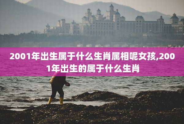2001年出生属于什么生肖属相呢女孩,2001年出生的属于什么生肖