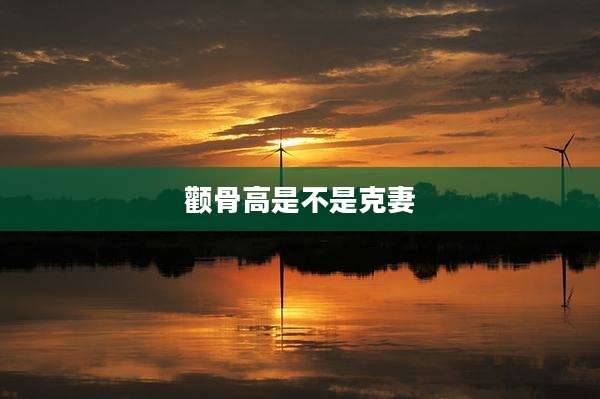 颧骨高是不是克妻