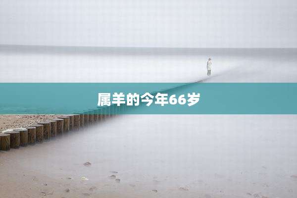 属羊的今年66岁