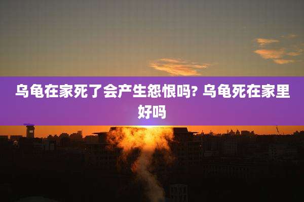 乌龟在家死了会产生怨恨吗? 乌龟死在家里好吗