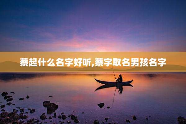 蔡起什么名字好听,蔡字取名男孩名字