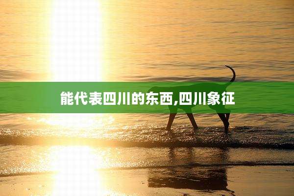 能代表四川的东西,四川象征