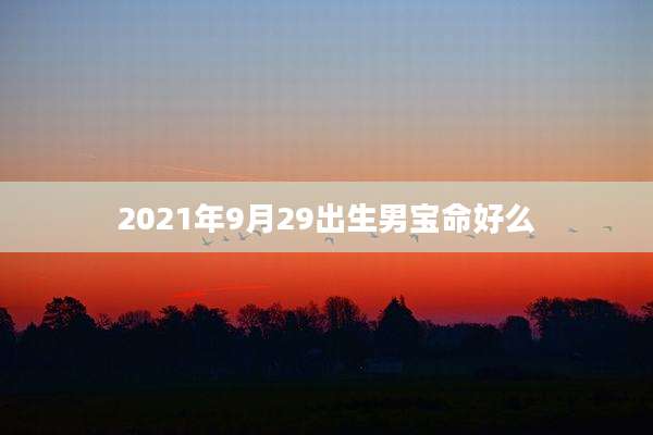 2021年9月29出生男宝命好么