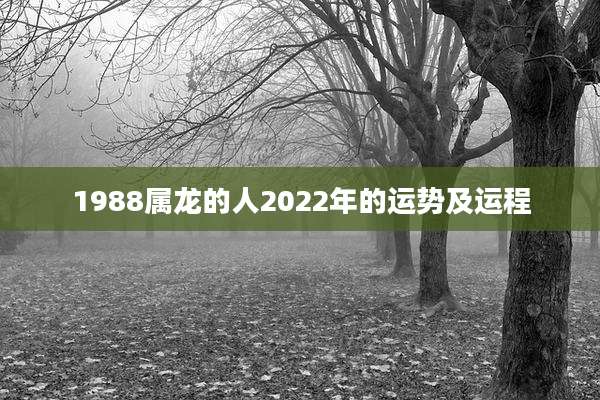 1988属龙的人2022年的运势及运程