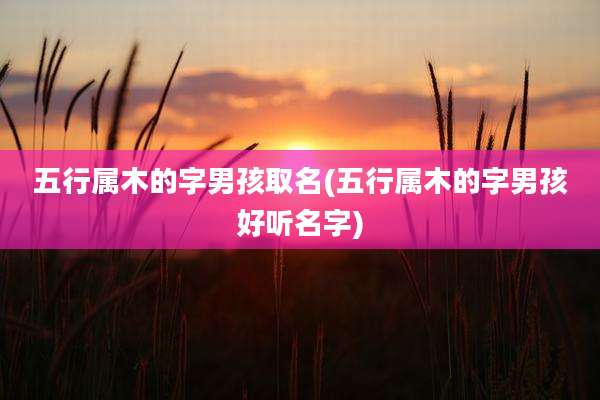 五行属木的字男孩取名(五行属木的字男孩好听名字)