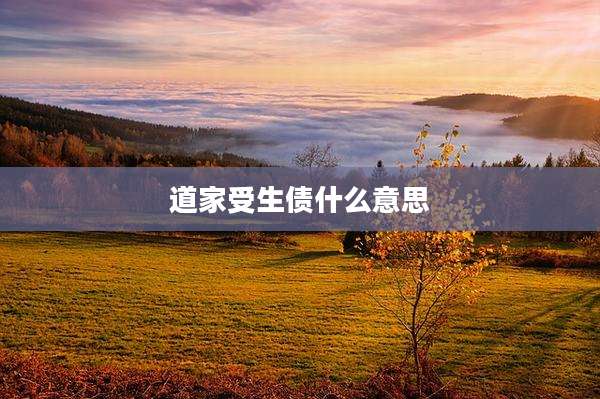 道家受生债什么意思