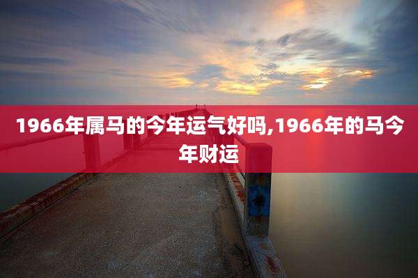1966年属马的今年运气好吗,1966年的马今年财运