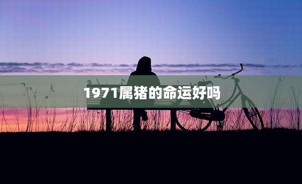 1971属猪的命运好吗