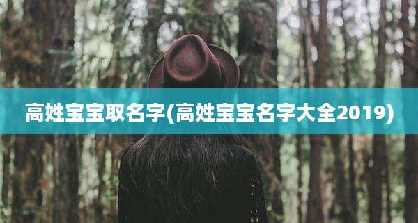 高姓宝宝取名字(高姓宝宝名字大全2019)