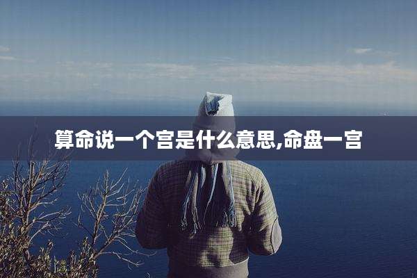 算命说一个宫是什么意思,命盘一宫