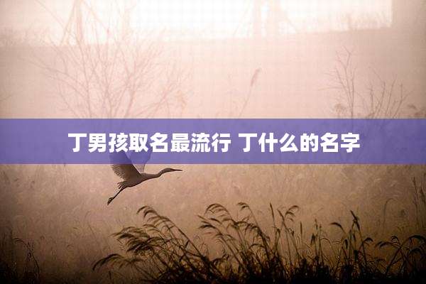 丁男孩取名最流行 丁什么的名字