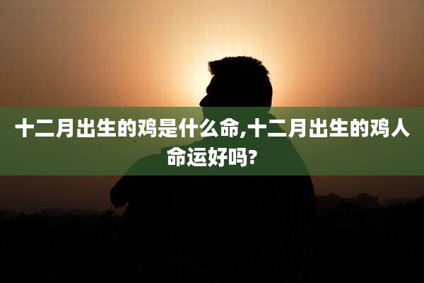 十二月出生的鸡是什么命,十二月出生的鸡人命运好吗?