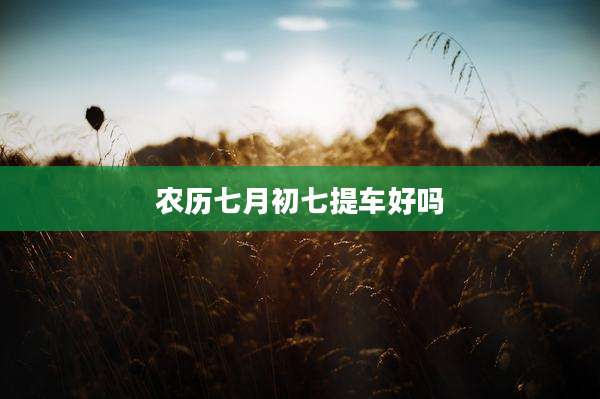 农历七月初七提车好吗