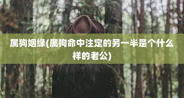 属狗姻缘(属狗命中注定的另一半是个什么样的老公)
