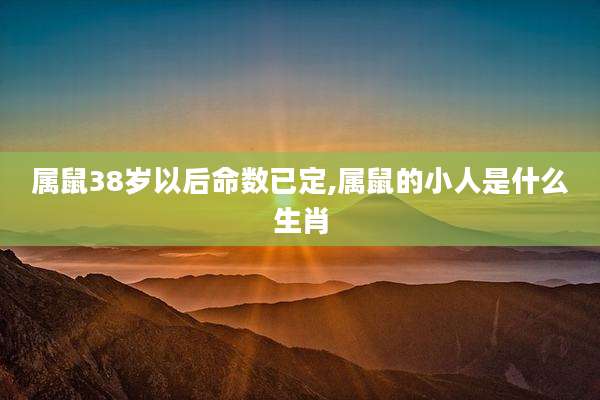 属鼠38岁以后命数已定,属鼠的小人是什么生肖