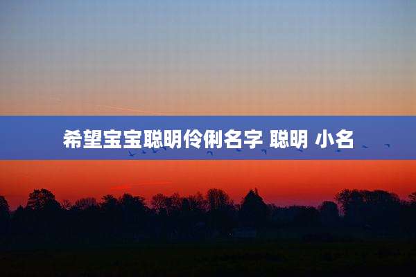 希望宝宝聪明伶俐名字 聪明 小名