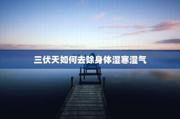 三伏天如何去除身体湿寒湿气