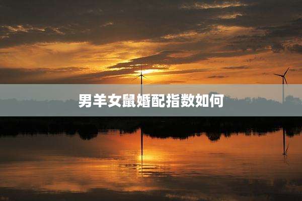 男羊女鼠婚配指数如何