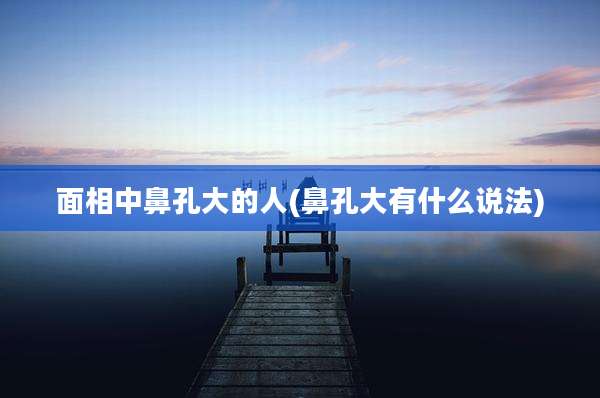 面相中鼻孔大的人(鼻孔大有什么说法)