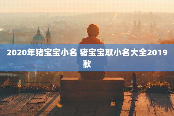 2020年猪宝宝小名 猪宝宝取小名大全2019款