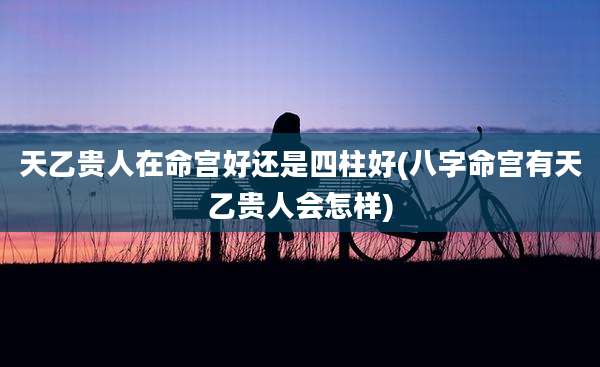 天乙贵人在命宫好还是四柱好(八字命宫有天乙贵人会怎样)