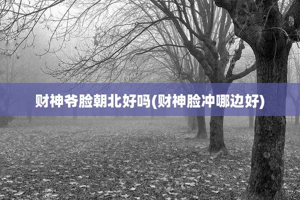 财神爷脸朝北好吗(财神脸冲哪边好)