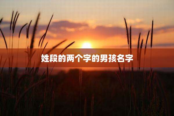 姓段的两个字的男孩名字
