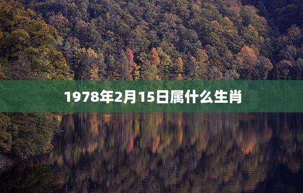 1978年2月15日属什么生肖