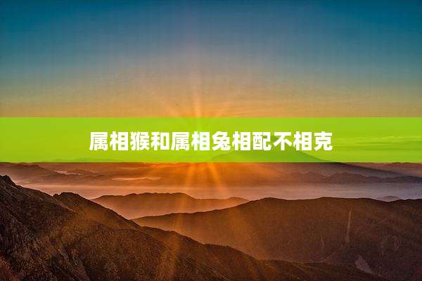 属相猴和属相兔相配不相克