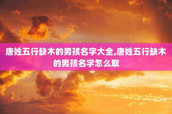 唐姓五行缺木的男孩名字大全,唐姓五行缺木的男孩名字怎么取