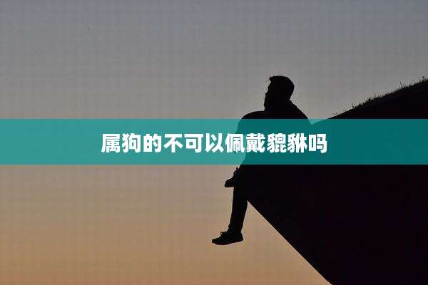 属狗的不可以佩戴貔貅吗