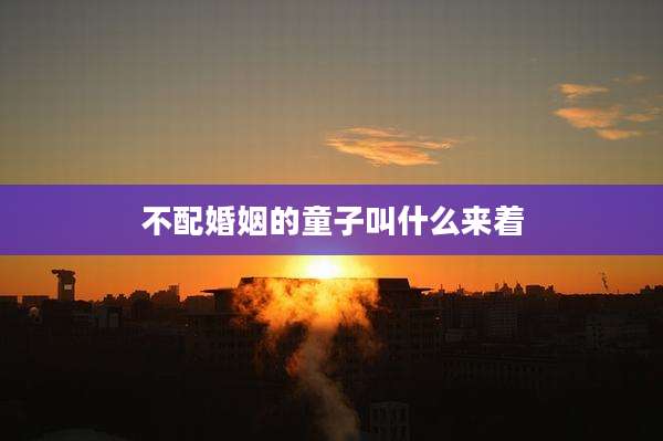 不配婚姻的童子叫什么来着
