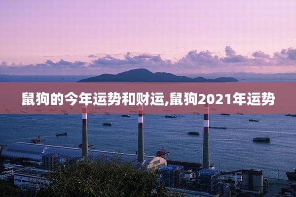 鼠狗的今年运势和财运,鼠狗2021年运势