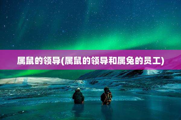 属鼠的领导(属鼠的领导和属兔的员工)