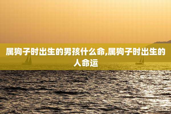 属狗子时出生的男孩什么命,属狗子时出生的人命运