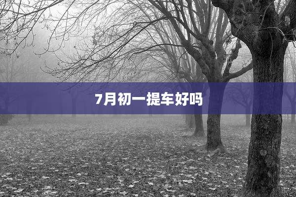 7月初一提车好吗