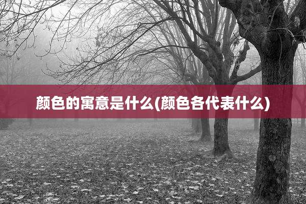 颜色的寓意是什么(颜色各代表什么)