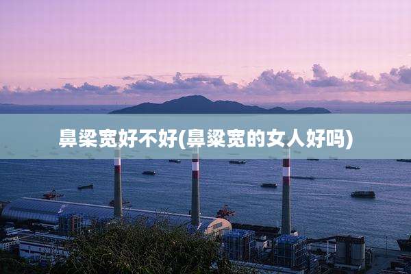 鼻梁宽好不好(鼻粱宽的女人好吗)