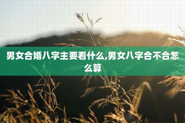 男女合婚八字主要看什么,男女八字合不合怎么算