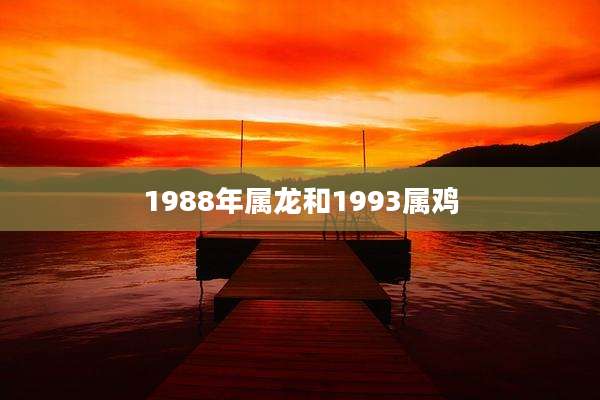 1988年属龙和1993属鸡