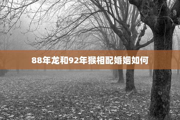 88年龙和92年猴相配婚姻如何