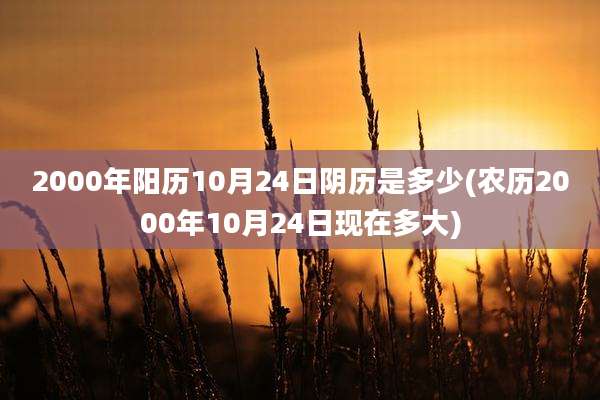 2000年阳历10月24日阴历是多少(农历2000年10月24日现在多大)
