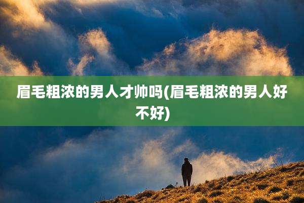 眉毛粗浓的男人才帅吗(眉毛粗浓的男人好不好)