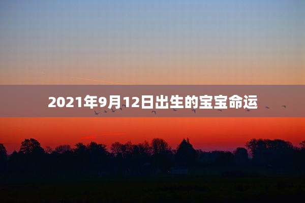 2021年9月12日出生的宝宝命运