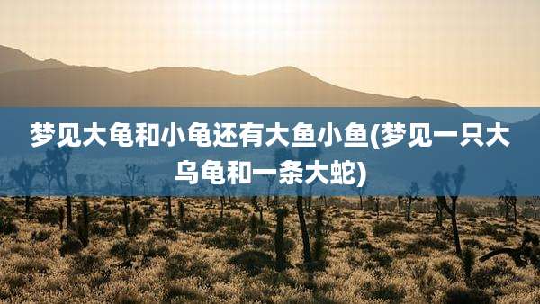 梦见大龟和小龟还有大鱼小鱼(梦见一只大乌龟和一条大蛇)
