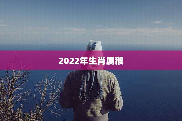 2022年生肖属猴