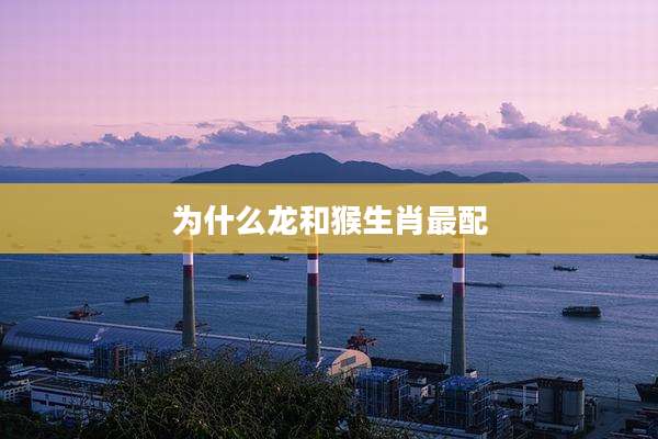 为什么龙和猴生肖最配