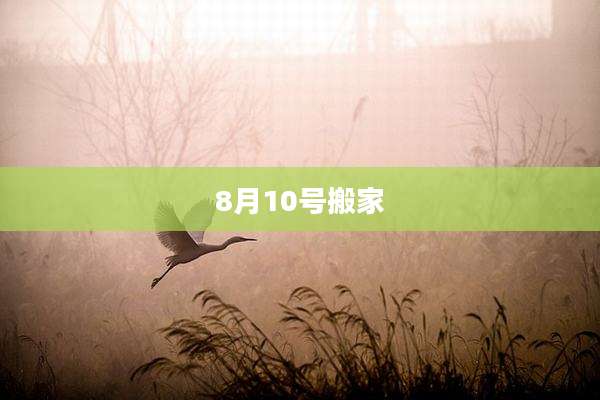 8月10号搬家