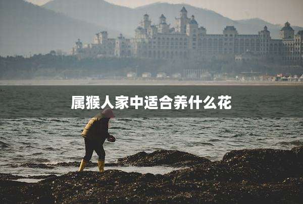 属猴人家中适合养什么花